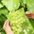20PCS Grape Fruit Protection Bags Garden Drawstring Netting Mesh Bags Anti-Bird For Plant Fruit Trees Organza Bags. 