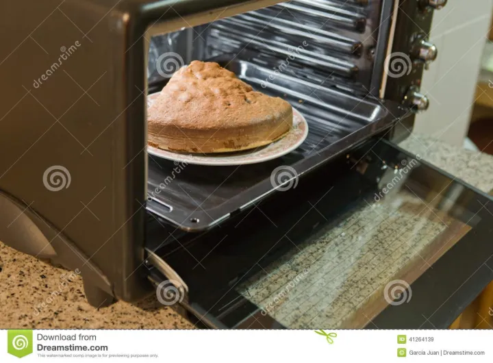 23%20Liter%20Electric%20Oven%20/%20Baking%20Oven%20-%20Image%208