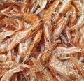 Dry Prawn 1 KG For Poultry, Fishes and birds. 