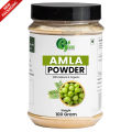 Amla Powder (Organic Homemade Amla Powder) / Phyllanthus Emblica Powder for Hair Growth - 100 Gram. 