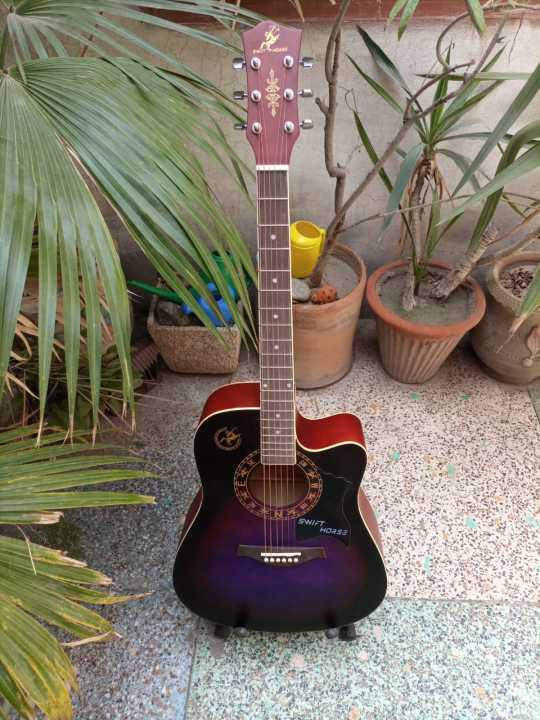 Acoustic Guitar 41 inches Color Purple with Free Gifts