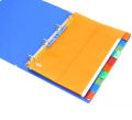 Office file Separators  10 Plastic Dividers  6 different colors  Size: 22.5 x 29.7cm  A4, Multicolor. 