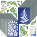 Sun Print Paper Kit Cyanotype Paper 32 Sheets Cyanotype Paper With 2 Sheet Acrylic Panel Green For Arts Crafts DIY Project. 