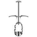 Red Date Pit Remover Portable Stainless Steel Cherry Pitter Easy Olive Pit Remover for Kitchens. 