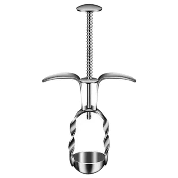 Red Date Pit Remover Portable Stainless Steel Cherry Pitter Easy Olive Pit Remover for Kitchens