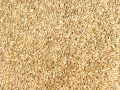 Canary Seeds Organic Natural Whole Birds Food 1000gm. 