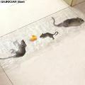Invisible And Transparent Rat Killing Magic Carpet Rodents Moles Trap Rat Mice Trap Clear Invisible Mouse Glue Trap 120 x 28cm. 