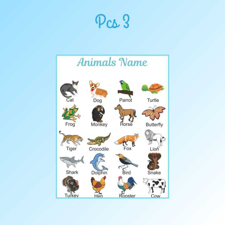 Pack%20of%203%20-%20Flash%20Cards%20:%20Fruits%20Name%20,%20Vegetables%20Name,%20Animals%20Name%20-%20Along%20With%20Pictures%20-%20All-in-One%20-%20Flash%20Card%20A4%20Size%20Durable%20Hard%20Coated%20Plastic%20With%20Ring%20Holder%20-%20Image%205