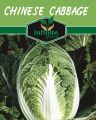 Chinese cabbage seeds imported Seeds 50 Plus.. 