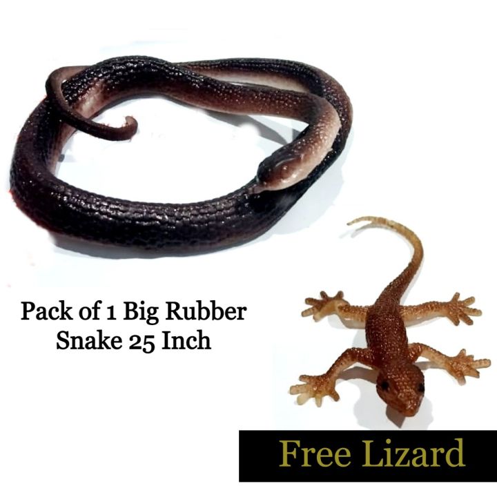 Soft Rubber Snake Toy Big 25 Inch with Free Rubber Lizard / Artificial Rubber Snake & Lizard