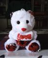 Teddy bear (9 inches). 