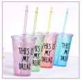 Glass Water Bottle 1pc Plastic Gel Frosty + Straw - 450ml  Double Wall. 