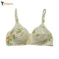 FairyShop Pack of 2 Soft Indian Blended Cotton Bra - HL2. 