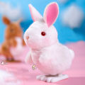 Wind-up Toy Bunny Kangaroo Boys Girls Kindergarten Cartoon Wind-Up Toy. 