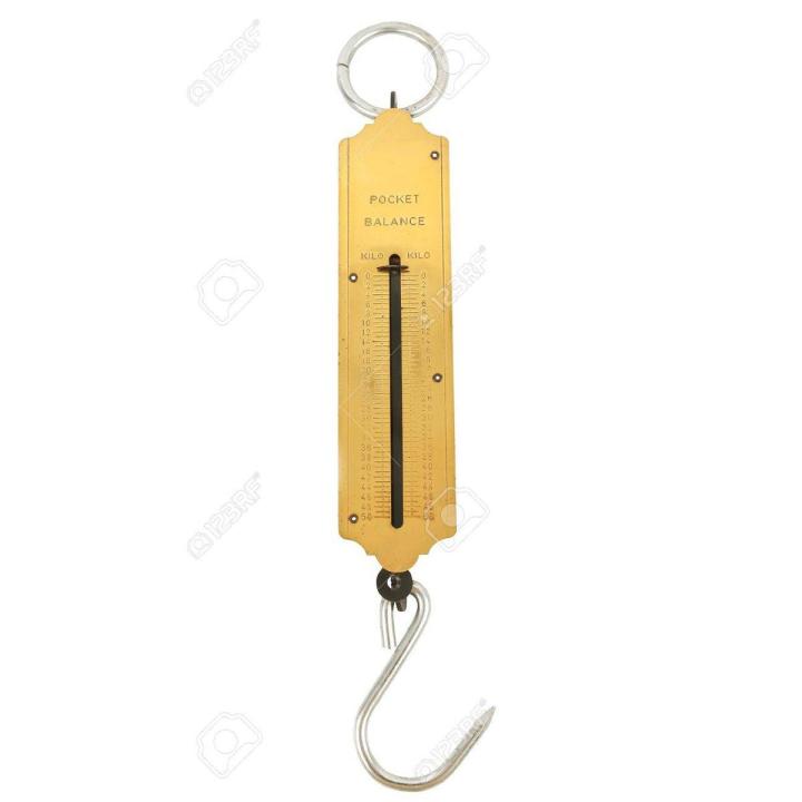 Pocket Balance 100Kg Weight Scale