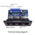 2.1 Channel Digital Amplifier Board with AUX Cable+USB Cable. 