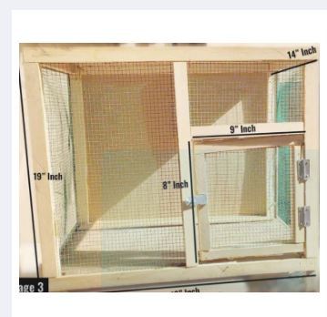 Wood or Wooden Cages Bird Cage for Chicks, Hens ducks, rabbit, Chickens Pinjra