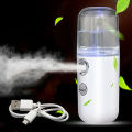 30ml Portable Nano Facial Mister, Handy Mini Facial Steamer, Atomization Eyelash Extensions Skin Care Steamer, Handy Moisturizing Mist Sprayer, USB Rechargeable. 