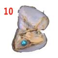 Freshwater Oyster Mussel Shell Beautiful Multicolor 7.5*6.5*1Cm Collection Vacuum Pack Love Wish Pearl Jewelry Accessories. 