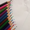 12 PCS|Pac of 12 Bicolor, 24 colors 2 in 1 | 24 Double Sided Pencil Colors | Multicolor Premium Quality | Artistic Colors for Kids | Ideal for coloring, drawing, and sketching | IMPORTED Includes Silver & Gold- Colour- Stationery. 