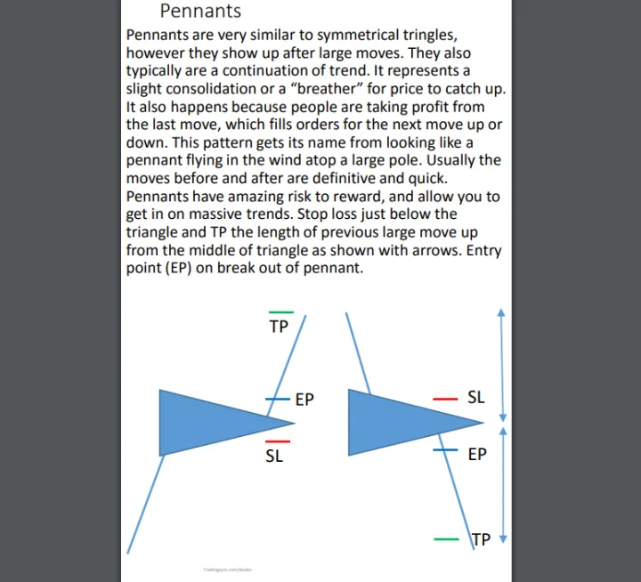 Chart%20Patterns%20A%20Simple%20Guide%20to%20Reading%20Charts%20Like%20A%20Pro%20%7C%20Best%20Book%20Of%20Charts%20Patterns%20-%20Image%208