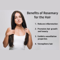 Rosemary Leaves for hair growth | Promote circulation to scalp - 30g. 
