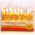 Happy Birthday Alphabets Candles (13Pcs) Birthday Candle Set for Cake Decorations.. 