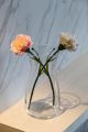 IKEA KARAFF Clear Glass Carafe 1.0 Liter Elegant Tableware Vase for Home Use. 