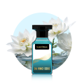 Da Vinci Code | A gentleman's favorite Scent | Long Lasting | Scents N Stories. 