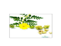 50 gms  Bhakra  herbal  spices  pure and fresh etc. 