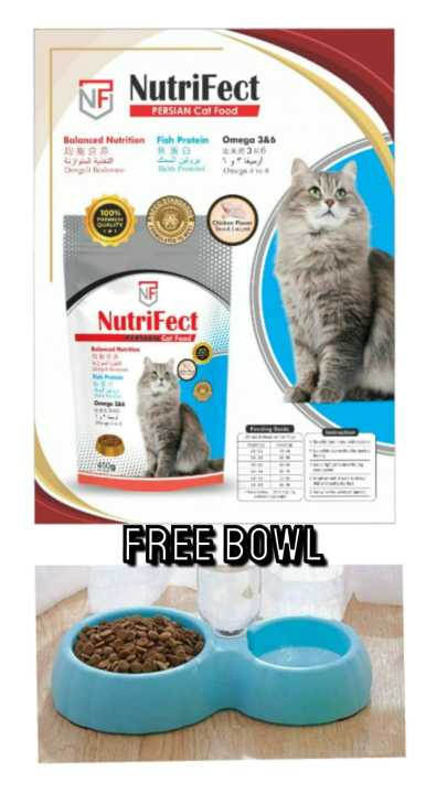 Best food bowl for persian cats best sale