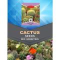 Qty 20+ Seeds Cactus Species Real Mix Rare Exotic Cacti Cactus Plant. 