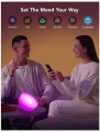 Govee Ambient Portable Table Lamp. 