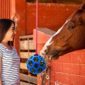2 Packs Horse Treat Ball Hay Play Ball,Goat Hay Ball Hang Feeding Toy for Sheep Horse Goat Feeder and Relieve Stress. 