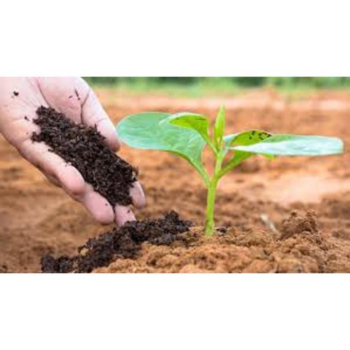 ORGANIC COMPOST FERTILIZER 1KG kitchen garden