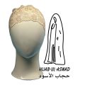 Lace Muslim Hijab Cap for girls | light brown| | Hijab's caps | hijab caps for girls stylish | Hijab scarf | Tube Cap Underscarves. 