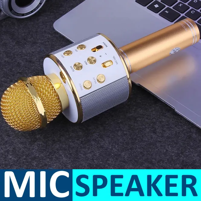 WS858%20Mic%20for%20Kids%20Microphone%20Loud%20Speaker%20for%20Speech%20with%20Echo%20-%20Image%203