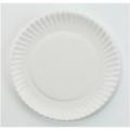 Disposable Foam Plates Pack of 100 pcs Medium-White. 