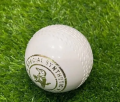 cricket practice hardball balls for hardball cricket practice waterproof.. 