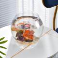 Fishes Tank Aquatic Aquarium Home Decorative Fish Bowls Table 16cmx18cm. 