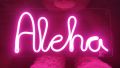 Any Customized NEON Sign Plate - Name Plate - 4 Letters Alphabets - best gift for friends and family. 