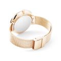 Skagen Gitte Silver Dial Rose Gold Mesh Bracelet Watch For Women SKW2142. 