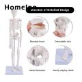 Flexible Jointed Mini Skeleton Realistic Mini Human Skeleton Model for Study Decoration Perfect Halloween Gift. 