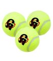 CA Tennis Balls CA Gold Tennis Balls  Pack of 6 Cricket Balls Tennis Balls. 