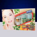 Swiss Naturals Facial Kit for Glowing Skin – 4 step - Skin Polish Kit Gift Pack with Scrub, Mask & Moisturizer - Skin Care Kit. 