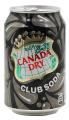 Canada Dry Club Soda - 300ml. 
