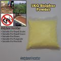 Sulphur Powder (Gandhak Powder) 1kg. 