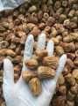 SUKRI DRY - 500GM - 100% PREMIUM QUALITY - SAUDI DATES IMPORT FROM MADINA - SUKRI KHAJOOR - SUKARY DRY. 