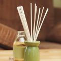 10Pcs/Set Empty Aromatherapy Bottles Essential Oil Diffuser Bottles Perfume Rods Reed Diffuser Sticks. 