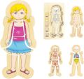 WOODEN FUN Human Body Puzzles for Kids 3-5,Wooden Montessori Anatomy Play Set, Human Body Model Puzzle for Preschoolers and Kids Ages 3+ (Girls)36 pcs. 